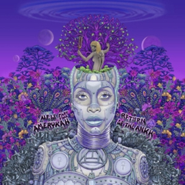 Erykah Badu - New Amerykah Part Two (2LP)