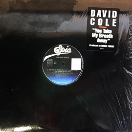 David Cole – You Take My Breath Away (12" Single) T10