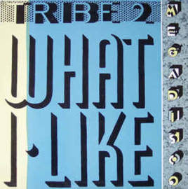 Tribe 2 ‎– What I Like (12" Single) T20