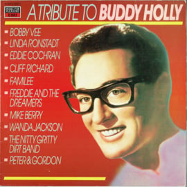 Various – A Tribute To Buddy Holly (LP) K30
