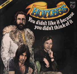 Hotlegs – You Didn't Like It Because You Didn't Think Of It (LP) F60
