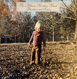 Allman Brothers Band - Brothers & Sisters (LP) D70