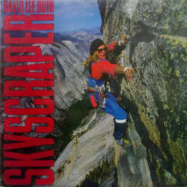 David Lee Roth - Skyscraper (LP) D30