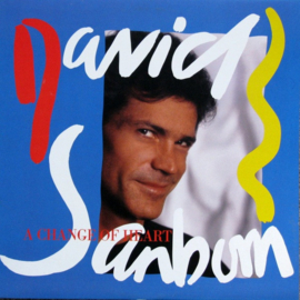 David Sanborn – A Change Of Heart (LP) A40