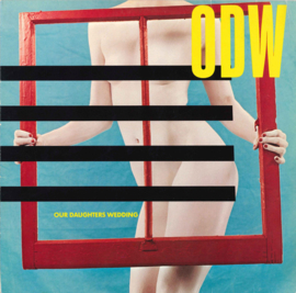 ODW – Moving Windows (LP) C30