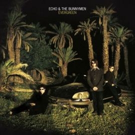 Echo & The Bunnymen - Evergreen (LP)