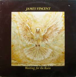 James Vincent – Waiting For The Rain  (LP) D50