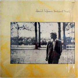 David Sylvian - Brilliant Trees (LP) L40