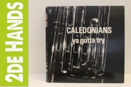 Caledonians ‎– Ya Gotta Try (LP) F10