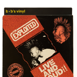 Punk & New Wave LP's Tweedehands
