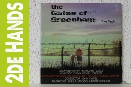 Tony Biggin - The Gates Of Greenham (2LP) C60