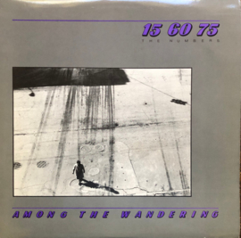 15:60:75 The Numbers - Among the Wandering (LP) D40