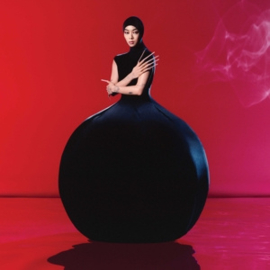 Rina Sawayama ‎– Hold the Girl (LP)