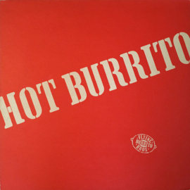 Flying Burrito Brothers - Hot Burrito (LP) E60