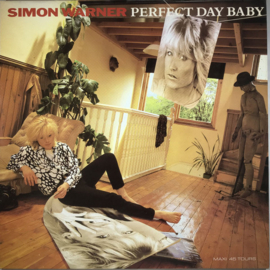 Simon Warner – Perfect Day Baby / Swiss Wood Version (12" Single) T30
