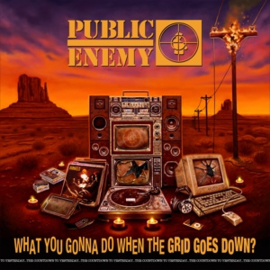 Public Enemy - What You Gonna Do When the Grid Goes Down? (LP)