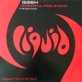 Gizeh – Wonderful / Feelin' Good (The Remixes) (12" Single) T20