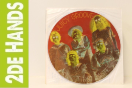 Juicy Groove ‎– First Taste (PICTURE DISC) K10