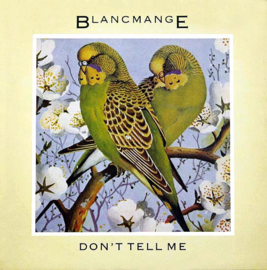 Blancmange – Don't Tell Me (12" Single) T50