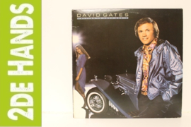 David Gates ‎– Falling In Love Again (LP) B50