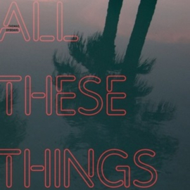Thomas Dybdahl - All These Things (LP)