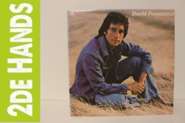 David Pomeranz ‎– It's In Everyone Of Us (LP) H30
