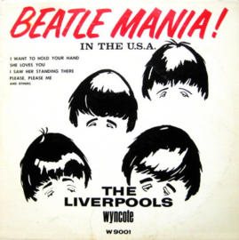The Liverpools - Beatle Mania! In The USA (LP) B40