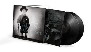 Joe Henry - All the Eye Can See (LP)