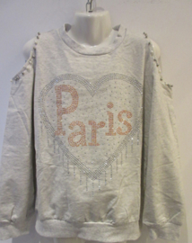 Sweater beige/grijs Paris