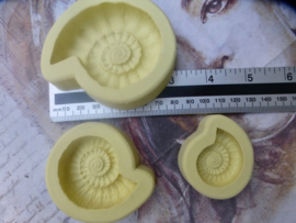 Fossil Mould Large