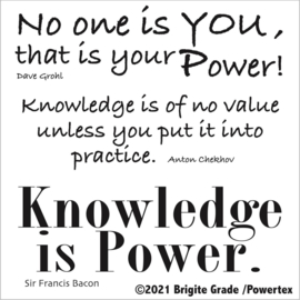 Stencil: Knowledge is Power 15x15 cm