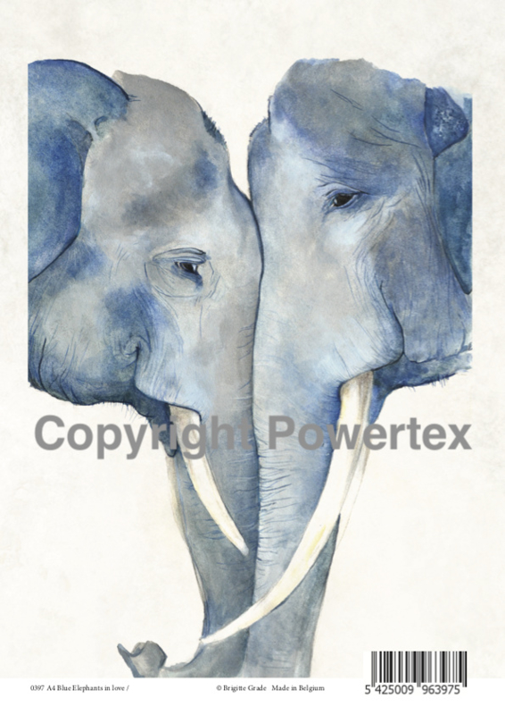 A4 Powerprint paper Blue elephants