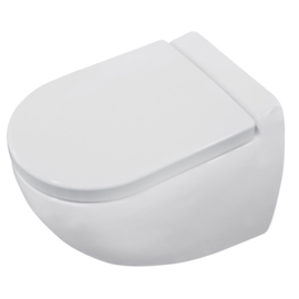 Broyeur Toilet FLO WC17 WAND