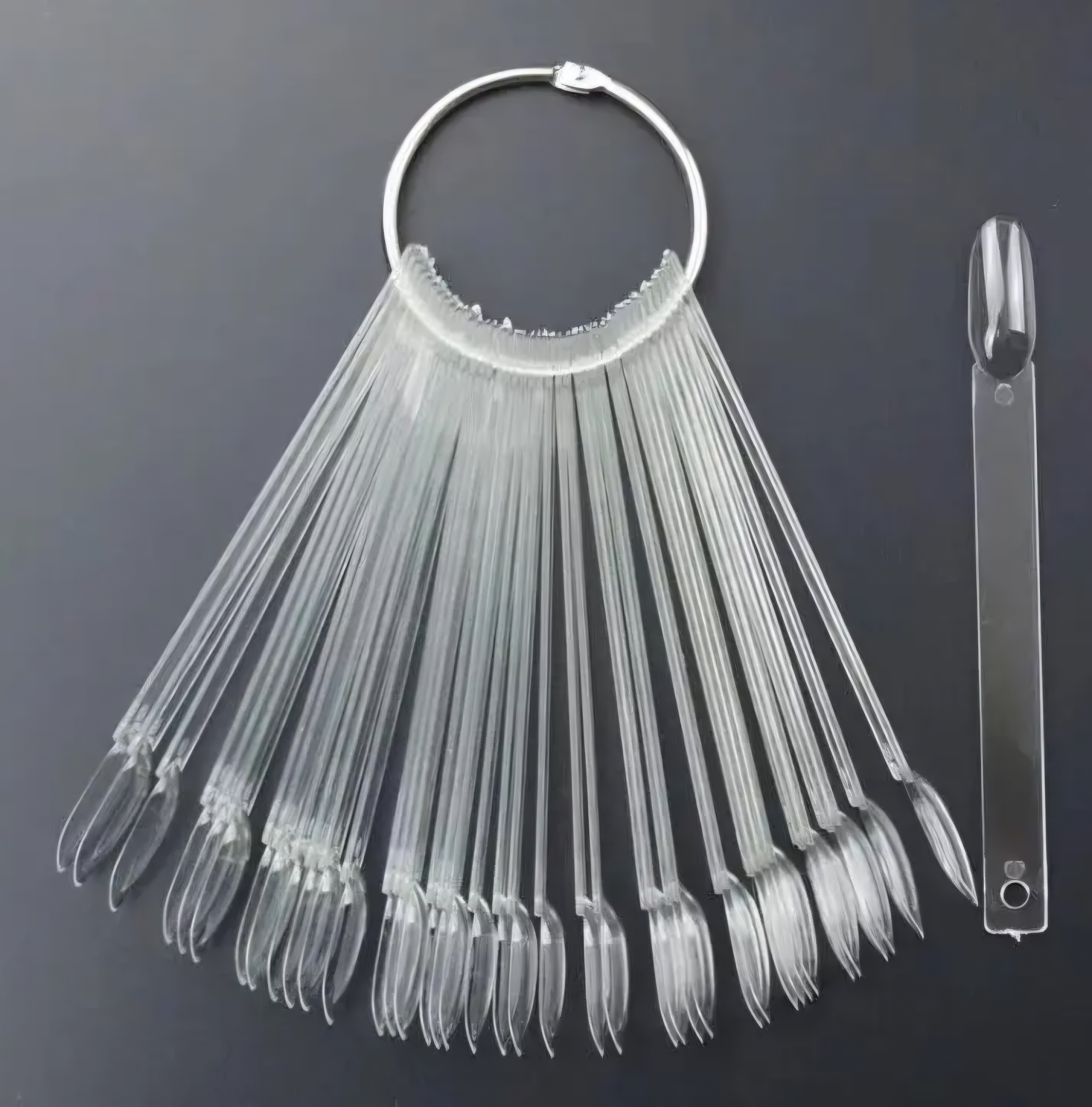 SALE Color Pops Oval Transparant zonder logo