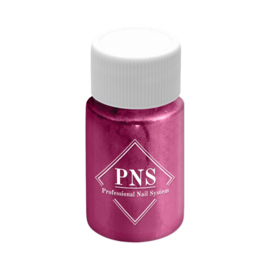 PNS Pigment Powder 10
