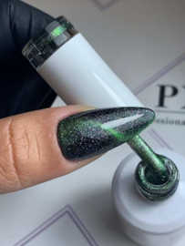 PNSgelpolish Cat-Eye Collection 1070 t/m 1075