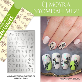Moyra Stamping Plate 79 Green Leaves + Gratis Try-on plate Sheet