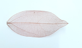 PNS Inlay Leaf 11
