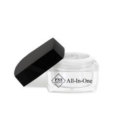 PNS All-In-One Gel 01 (clear)