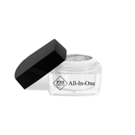 PNS All-In-One Gel 09 Silver