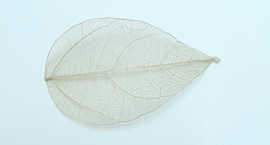 PNS Inlay Leaf 12
