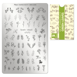 Moyra Stamping Plate 79 Green Leaves + Gratis Try-on plate Sheet