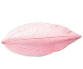 PNS Inlay Leaf 2