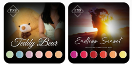 FLYER Teddy Bear/Endless Sunset    Maart 2026