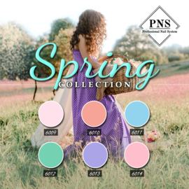 PNSgelpolish Spring Collection 6009 tm 6014