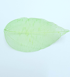 PNS Inlay Leaf 9