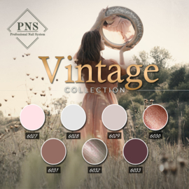 PNSgelpolish Vintage Collection 6027 tm 6033