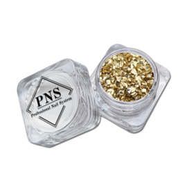 PNS Shell 15