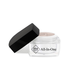 PNS All-In-One Gel 04