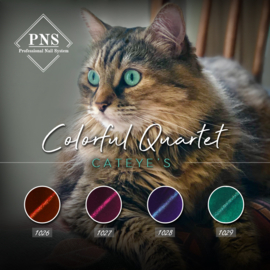PNSgelpolish Cat-Eye Colorful Quartet 1026 t/m 1029